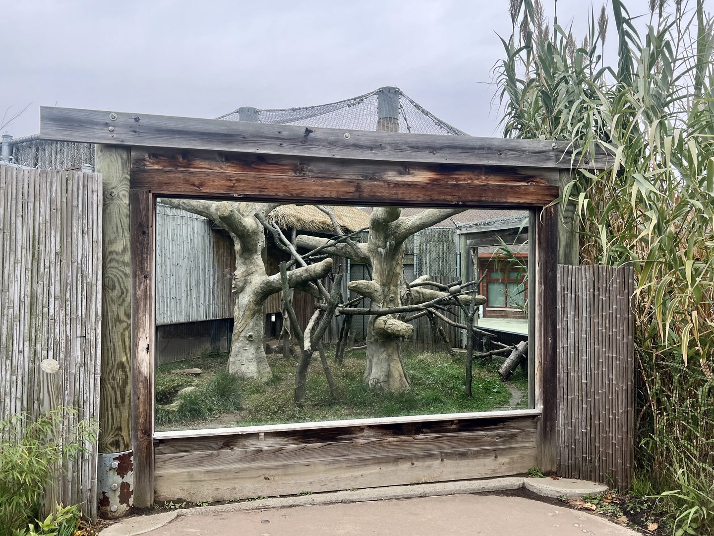 Outdoor Exhibit for Clouded Leopard