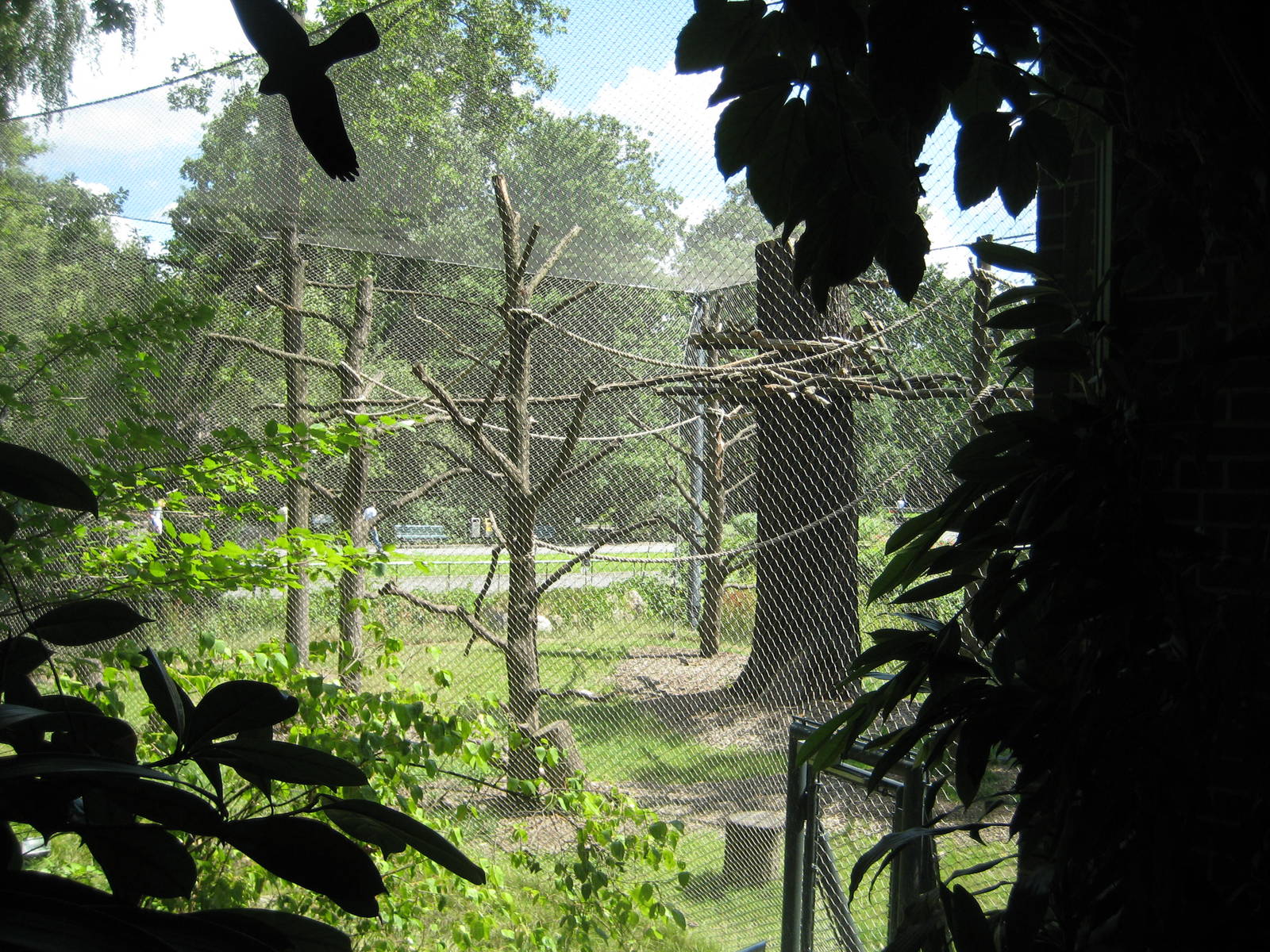 Outdoor exhibit for Leaf Monkeys