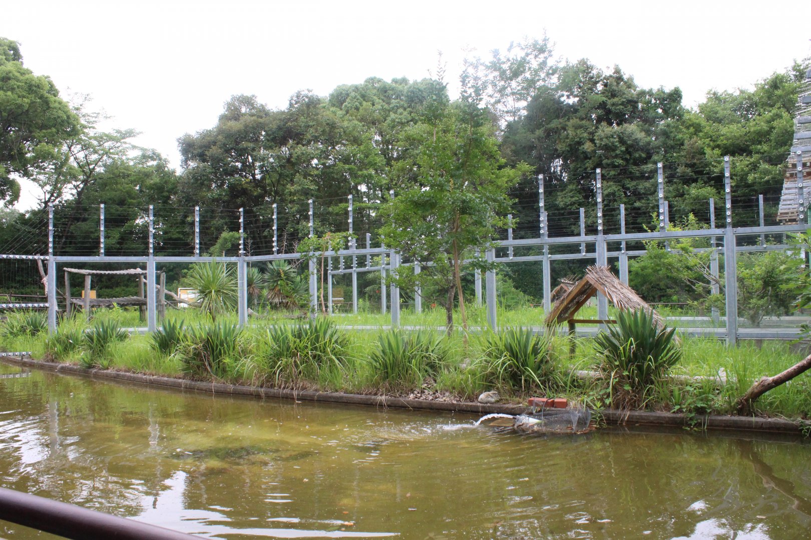 Outdoor exhibit for lemurs