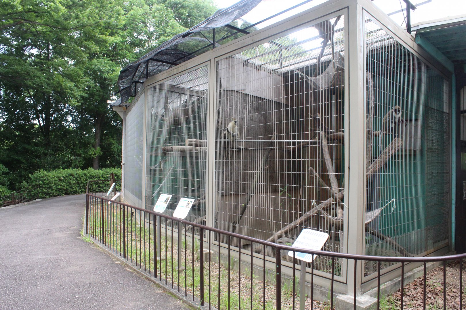 Outdoor exhibit for various monkeys