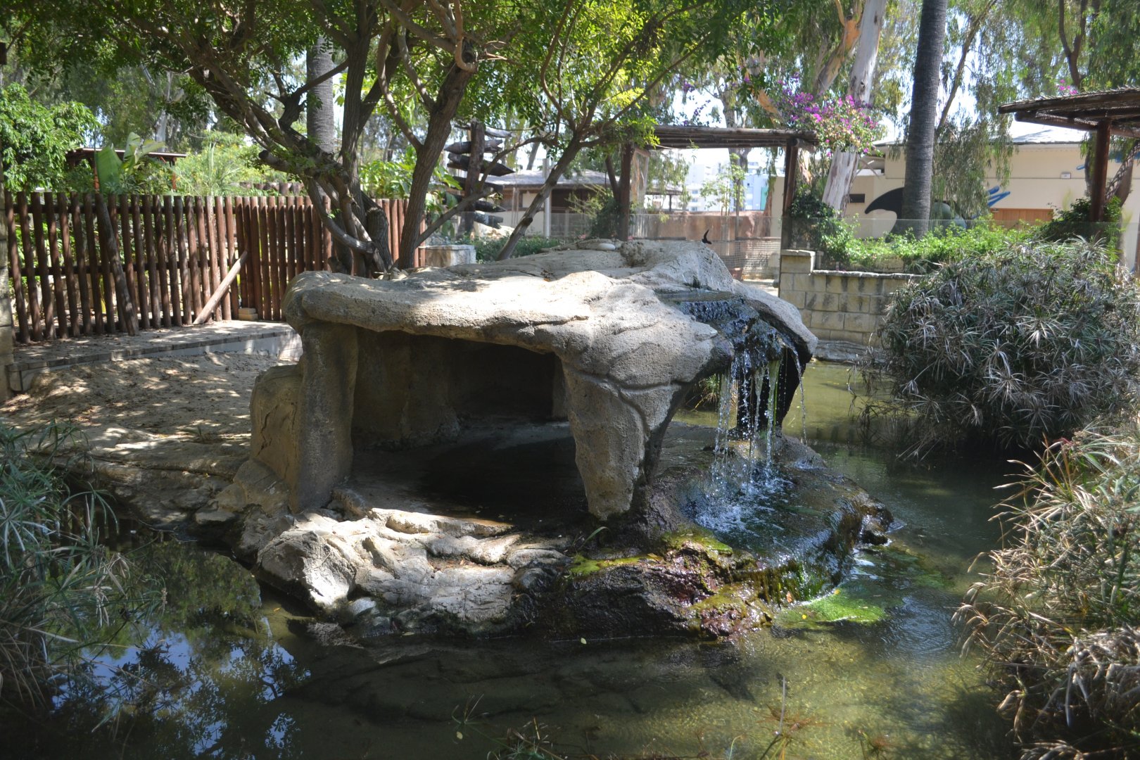 Outdoor-exhibit for Yacare caimans