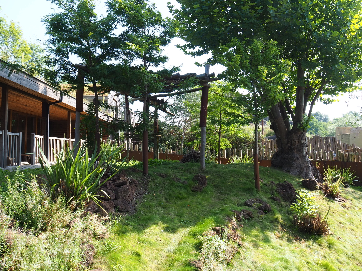 Outdoor exhibit next to the Koala and Small marsupial house, currently housing Western brush-tailed bettongs, 2021-09-02