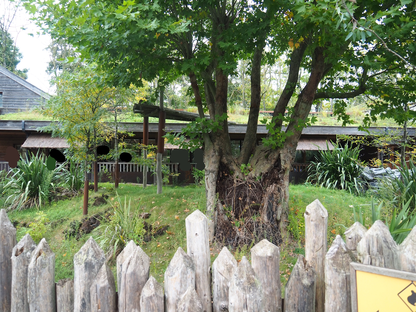 Outdoor exhibit next to the koala house, 2023-10-13