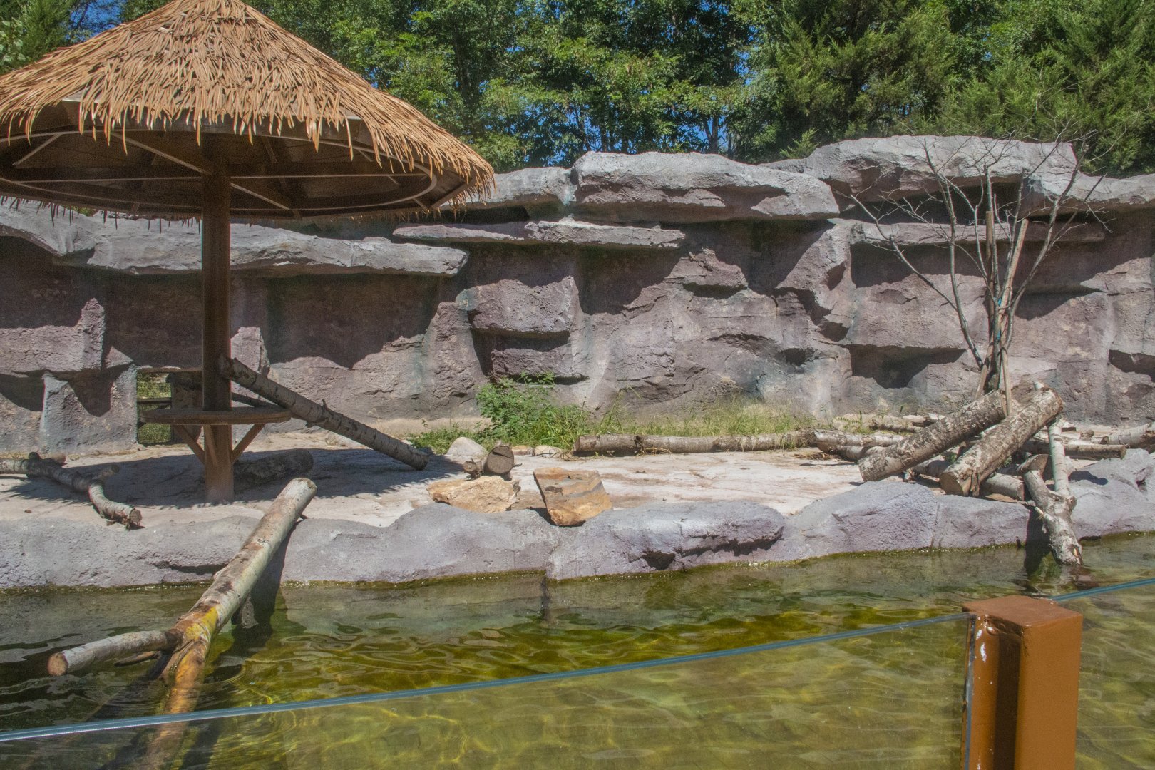 Outdoor exhibit of Asian small-clawed otters at Shenyang Forest Zoological Garden