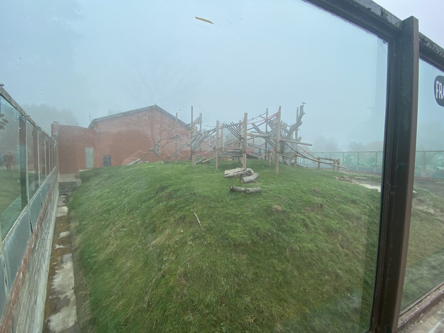 Outdoor Francoi’s langur enclosure