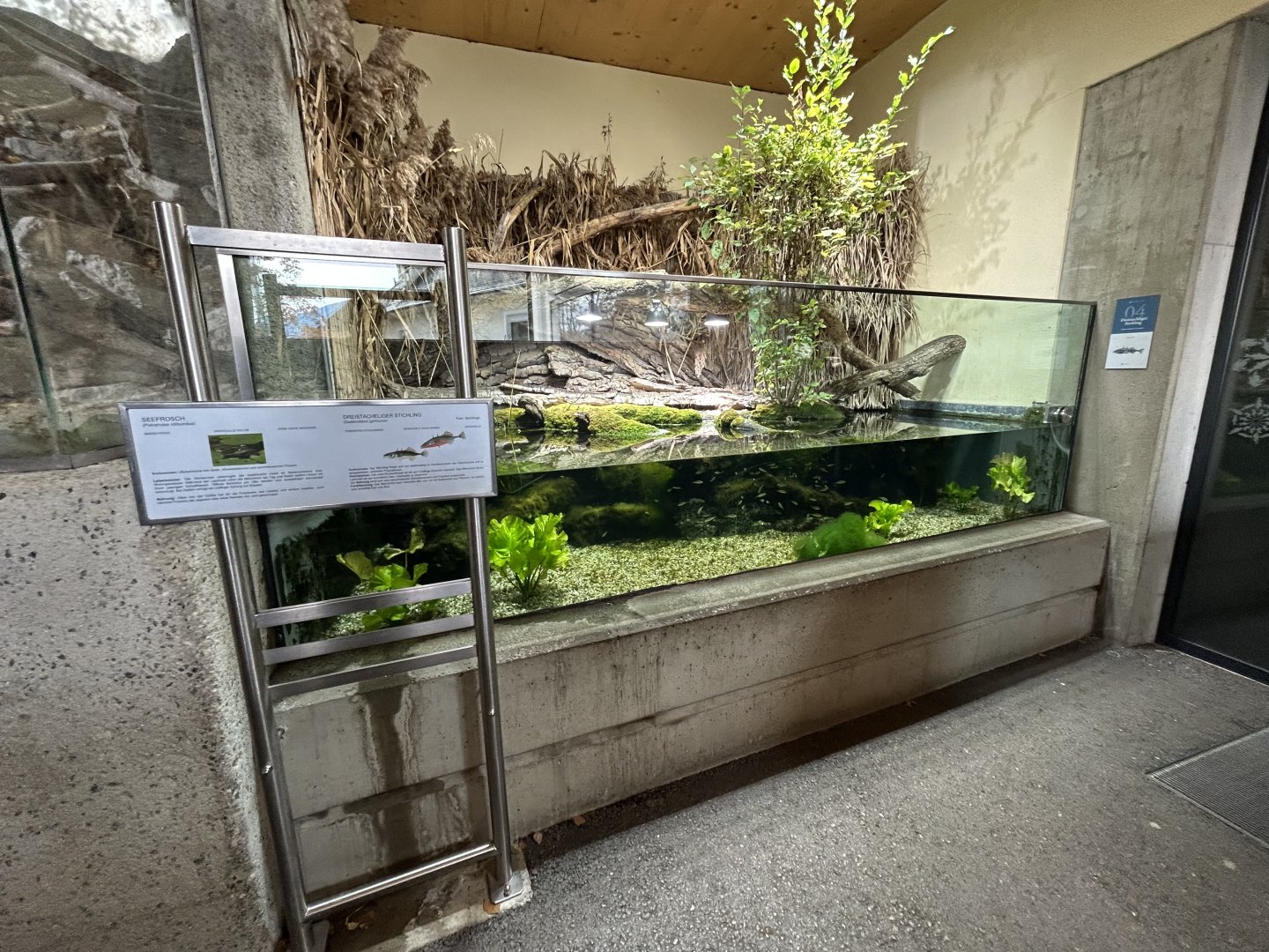 Outdoor Freshwater Aquariums