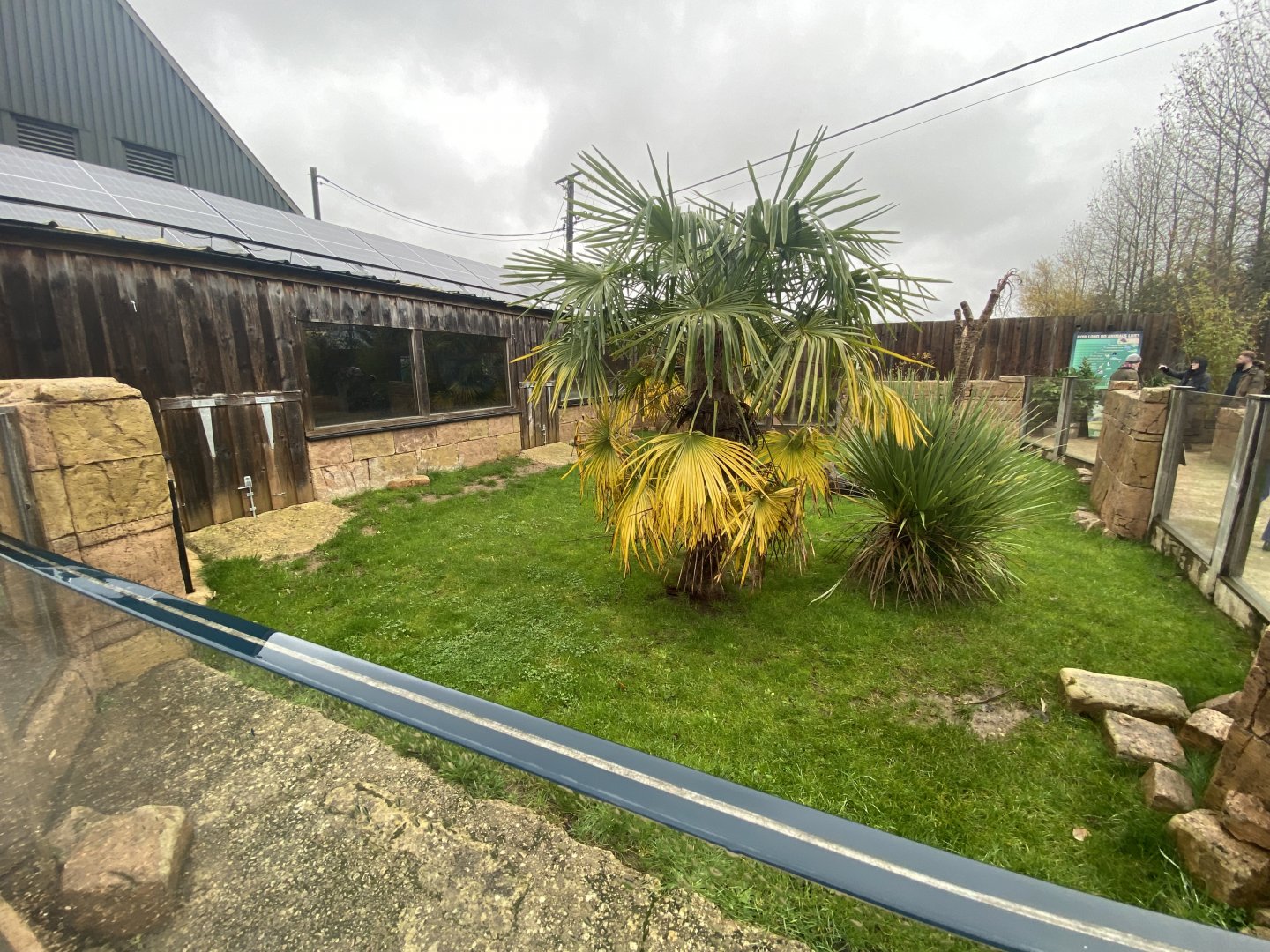 Outdoor Galapagos giant tortoise enclosure