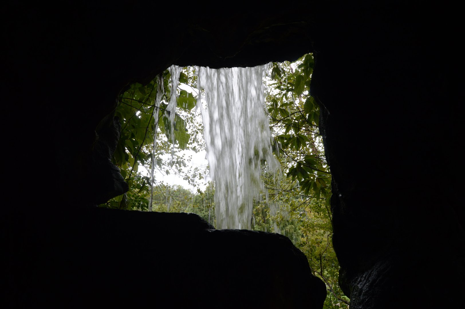 Outdoor Gardens - The Backside of Water