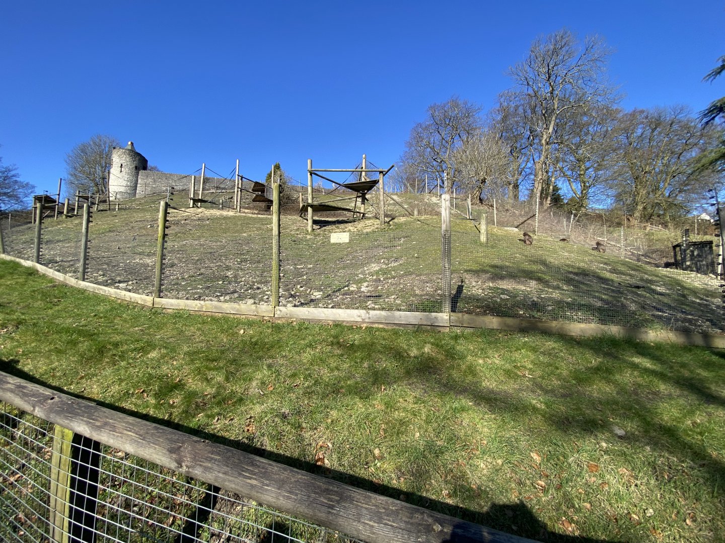 Outdoor gelada enclosure