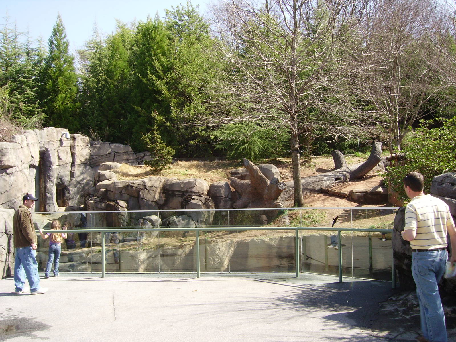 Outdoor Giant Panda enclosure