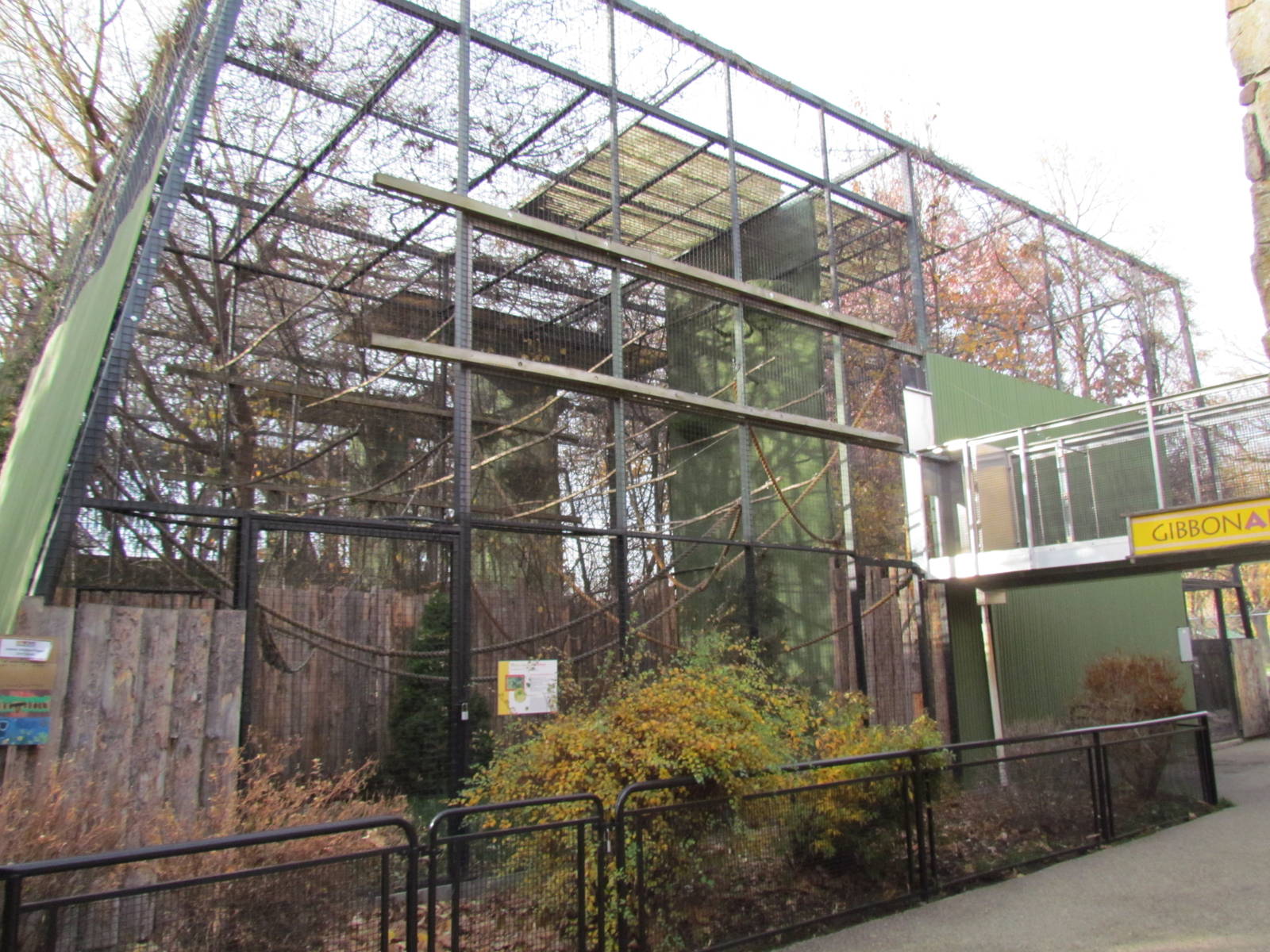 Outdoor Gibbon Exhibit