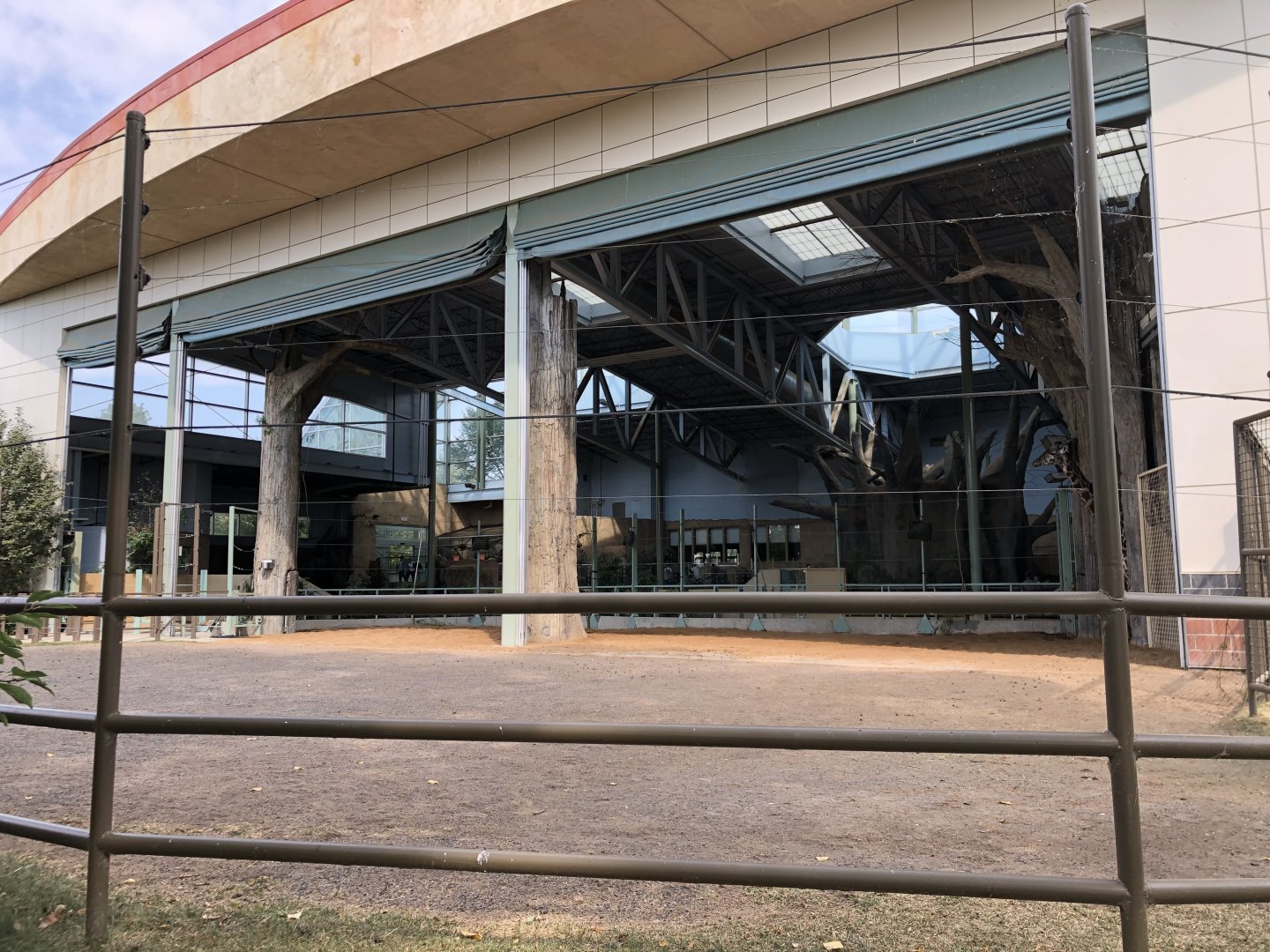 Outdoor Giraffe Yard