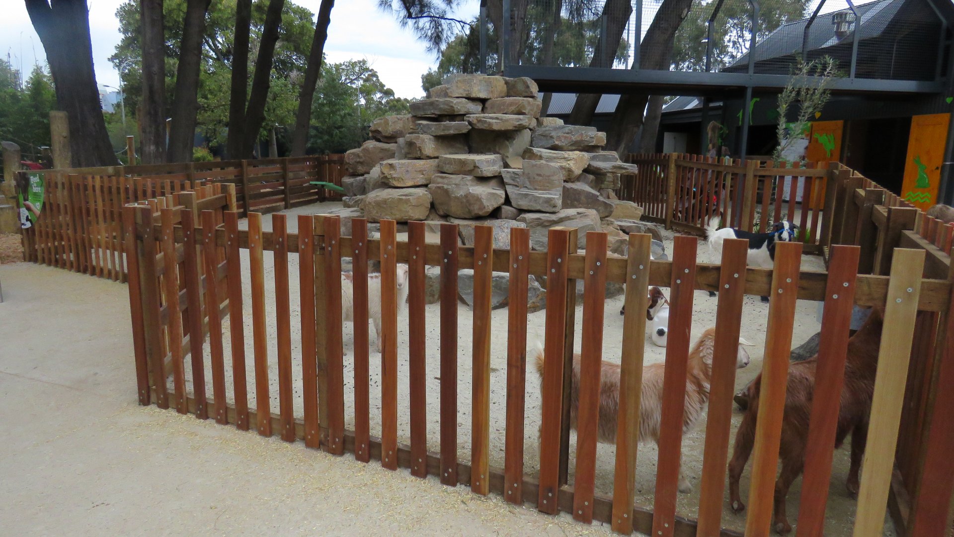 Outdoor Goat Enclosure