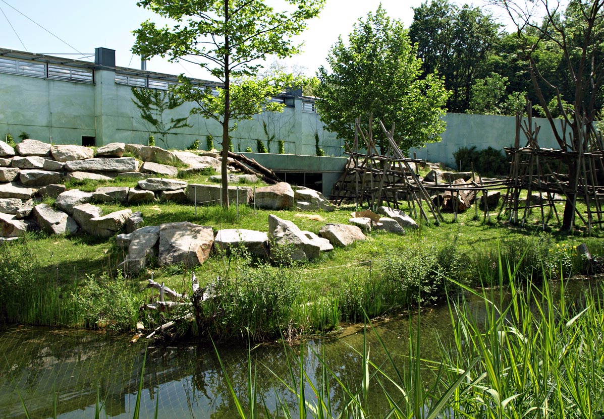 Outdoor gorilla complex