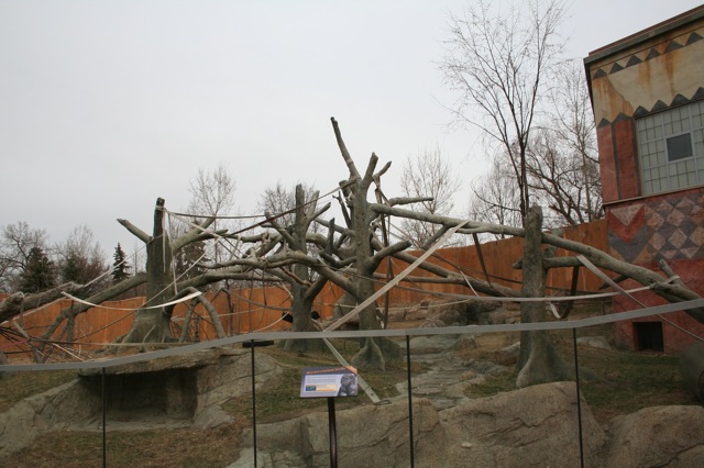 Outdoor Gorilla Exhibit
