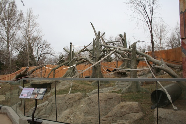 Outdoor Gorilla Exhibit
