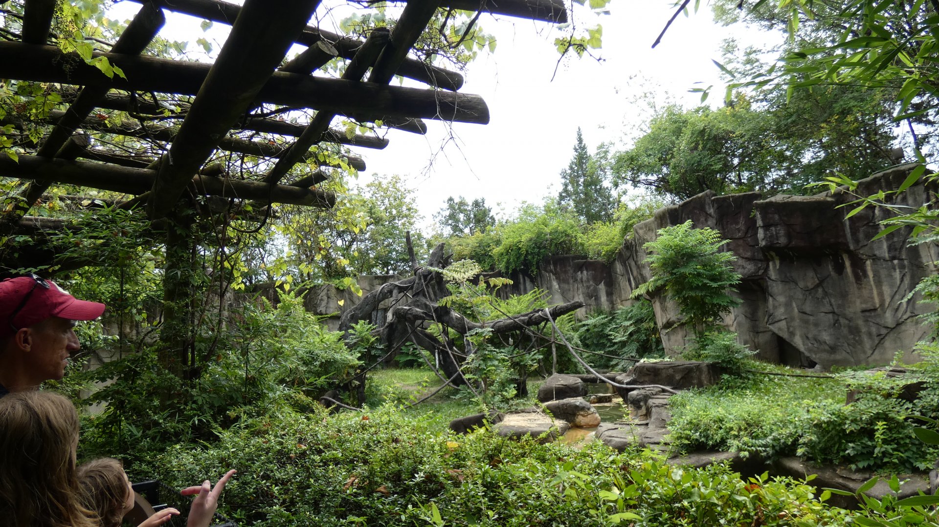 Outdoor Gorilla Habitat, Gorilla World - Aug. 2021