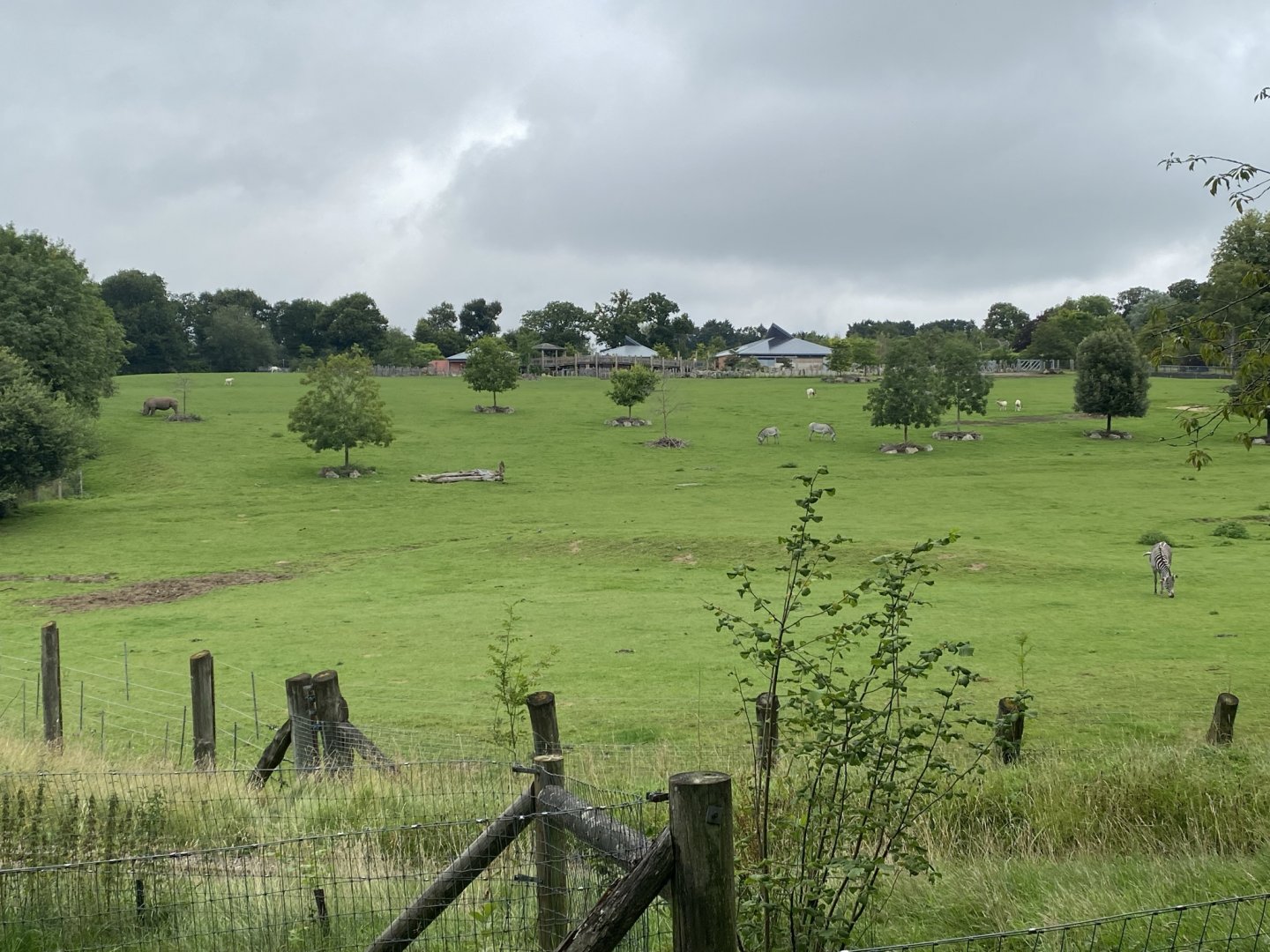 Outdoor Grassland area for Wild Explorers 120821