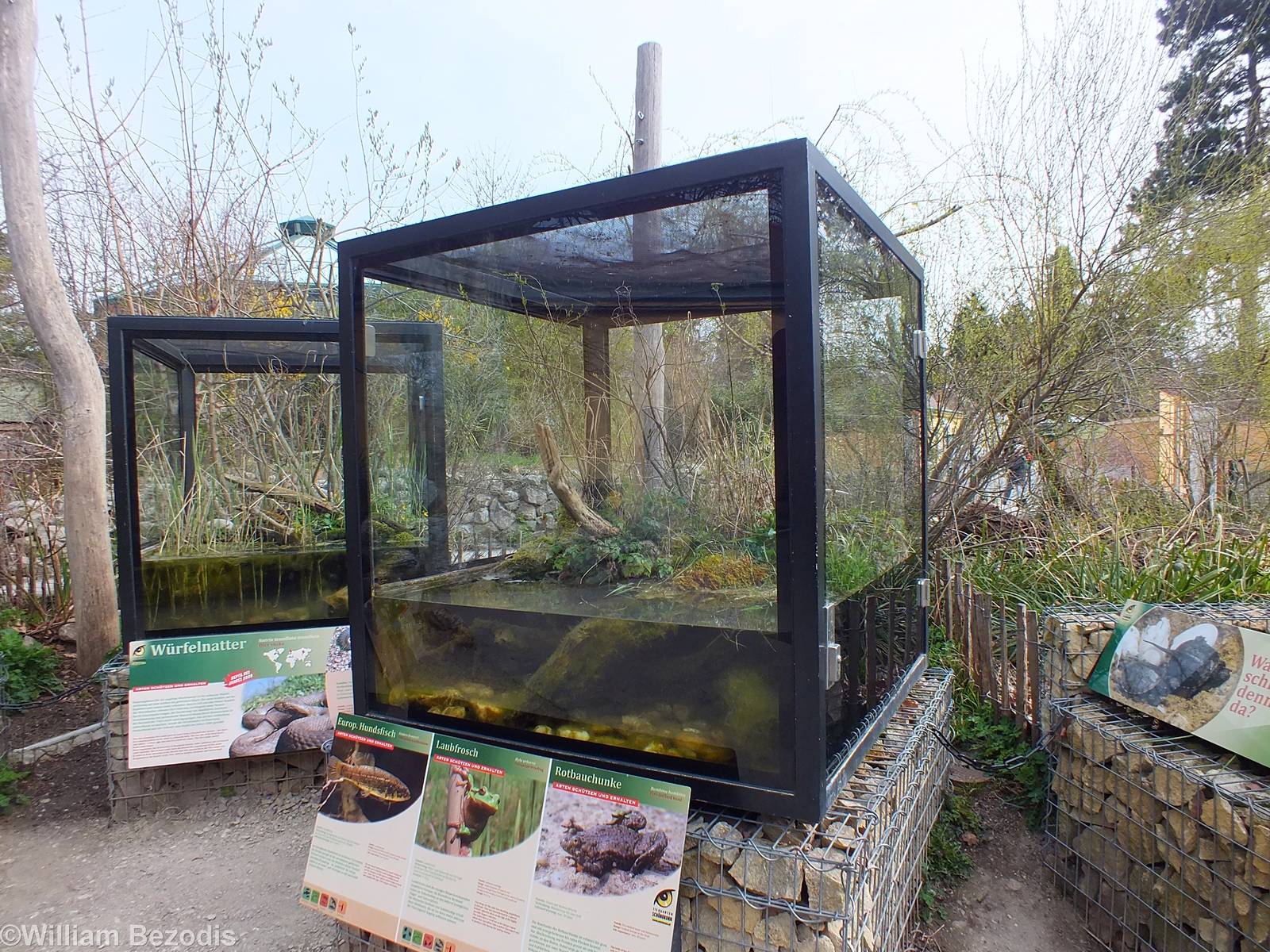 Outdoor Herp Enclosures