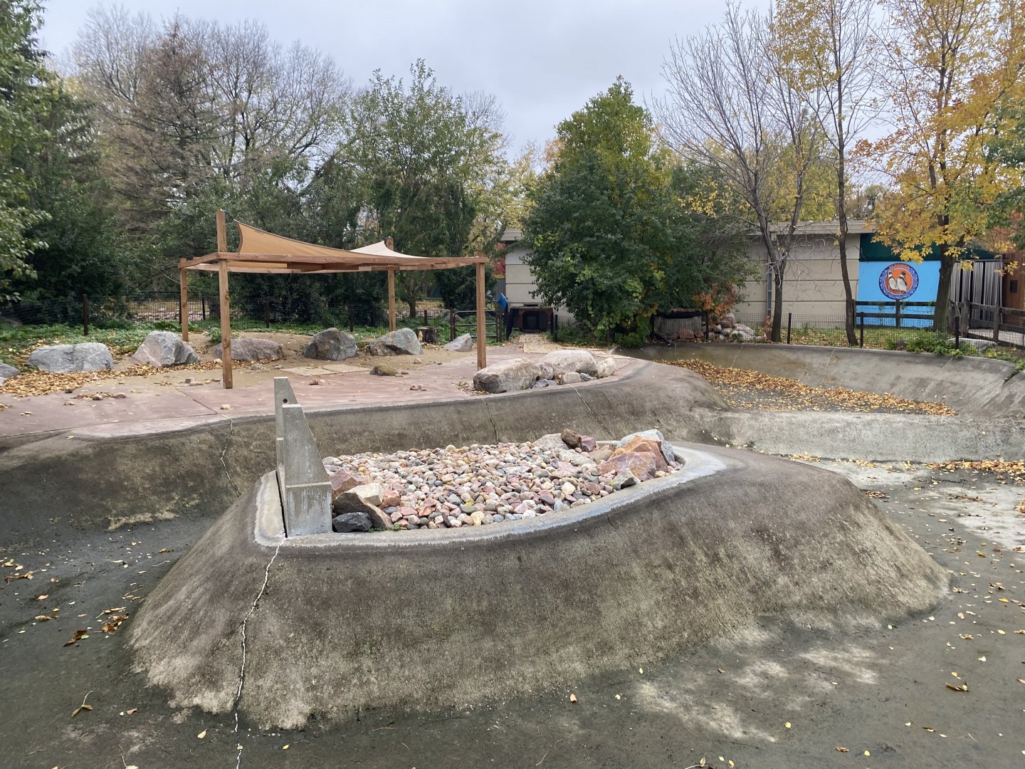 Outdoor Humboldt Penguin Exhibit