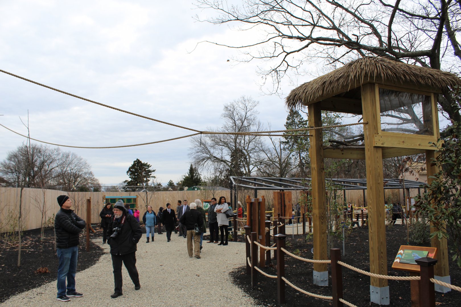 Outdoor Hyacinth Macaw Enclosure Part 1