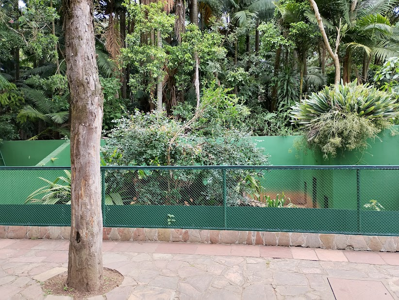 Outdoor iguana and tortoise habitat