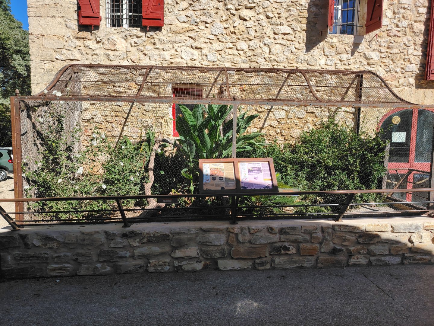 Outdoor Iguanas Exhibits