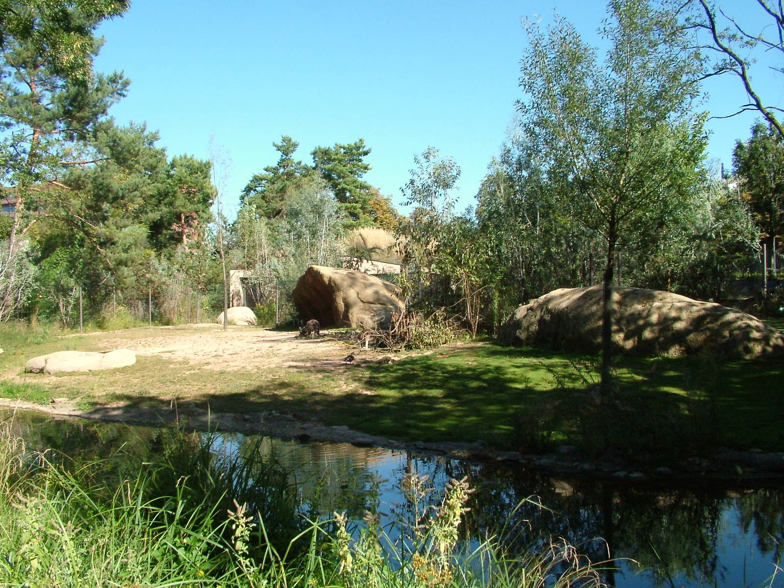 Outdoor Kangaroo and Brush-Turkey exhibit at Basel Zoo 30/08/09