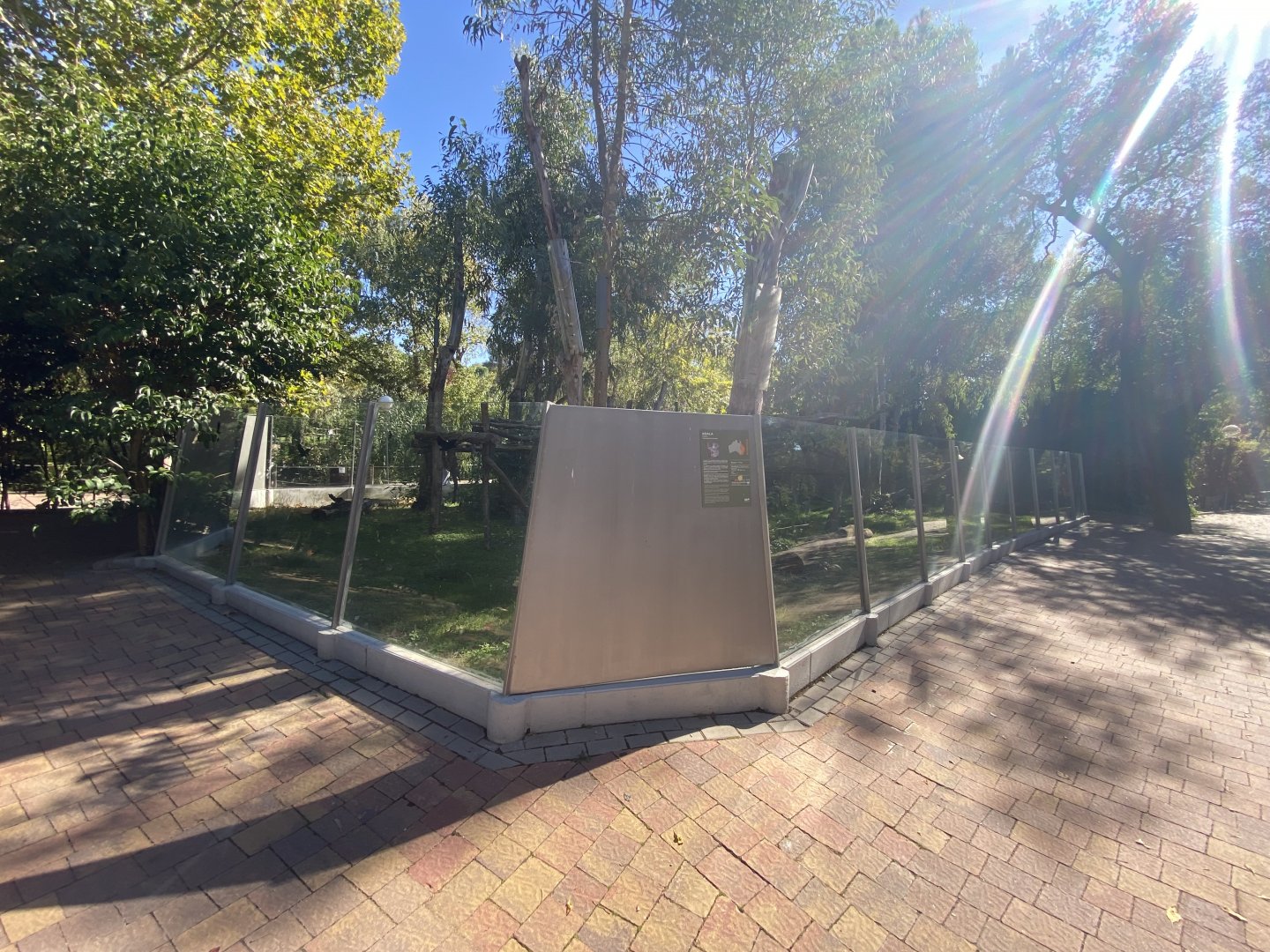 Outdoor koala enclosure