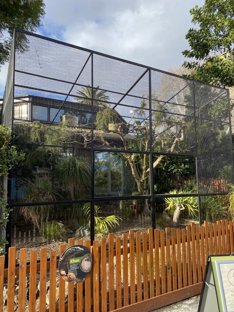 Outdoor Komodo Dragon Enclosure