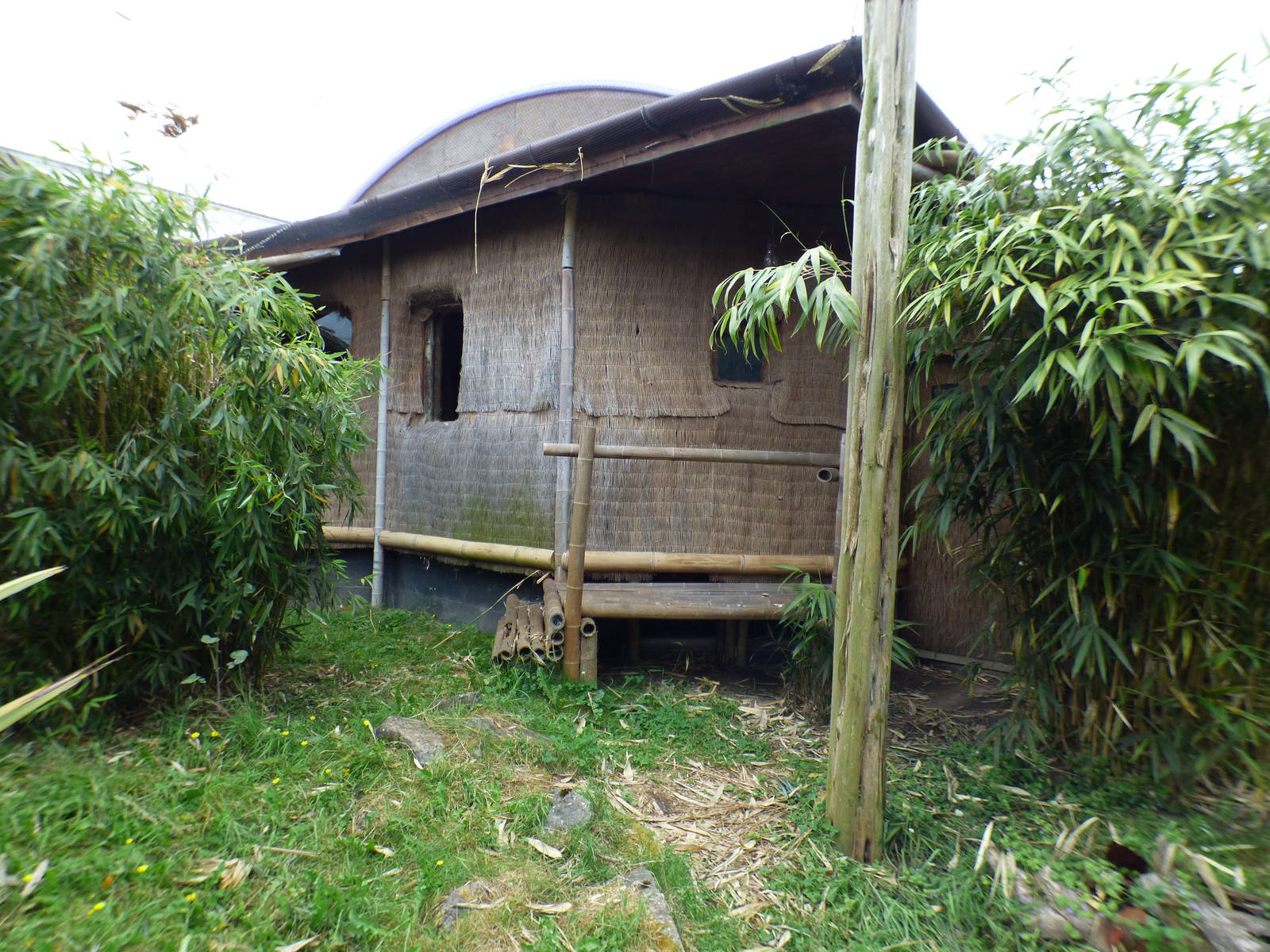 Outdoor Komodo Dragon Exhibit