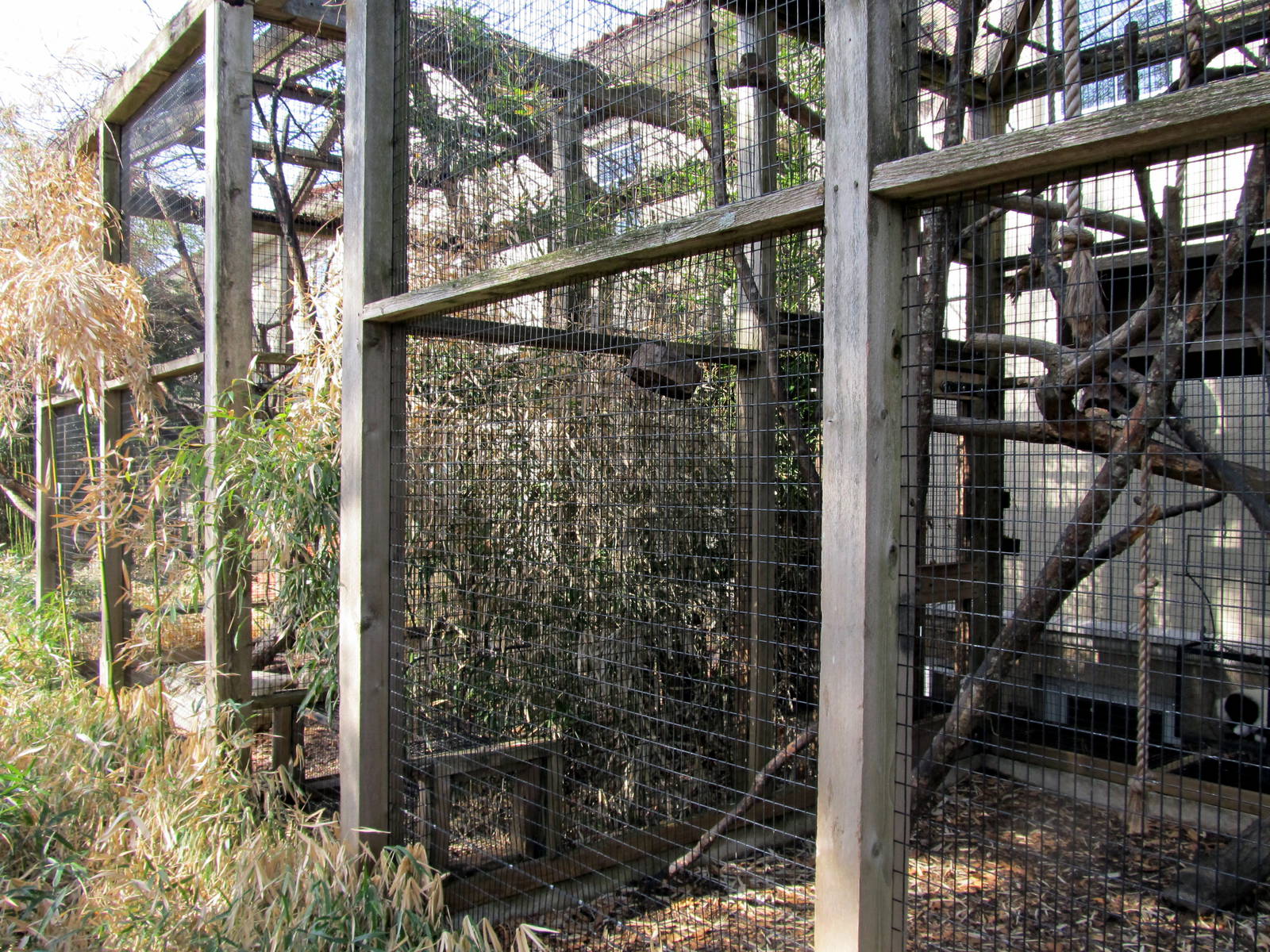 Outdoor Lemur Cages