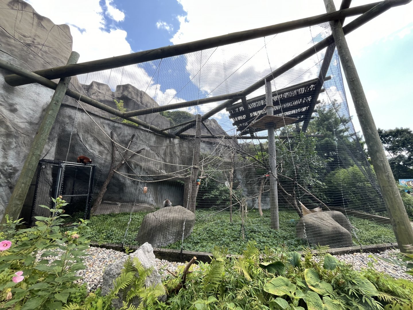 Outdoor Lemur Habitat