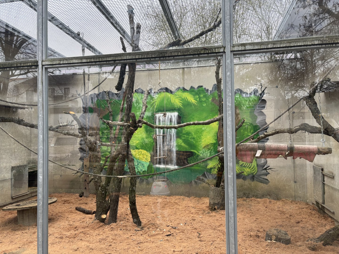 Outdoor Macaque Enclosure at Zoo Wassertstern (Ingolstadt)