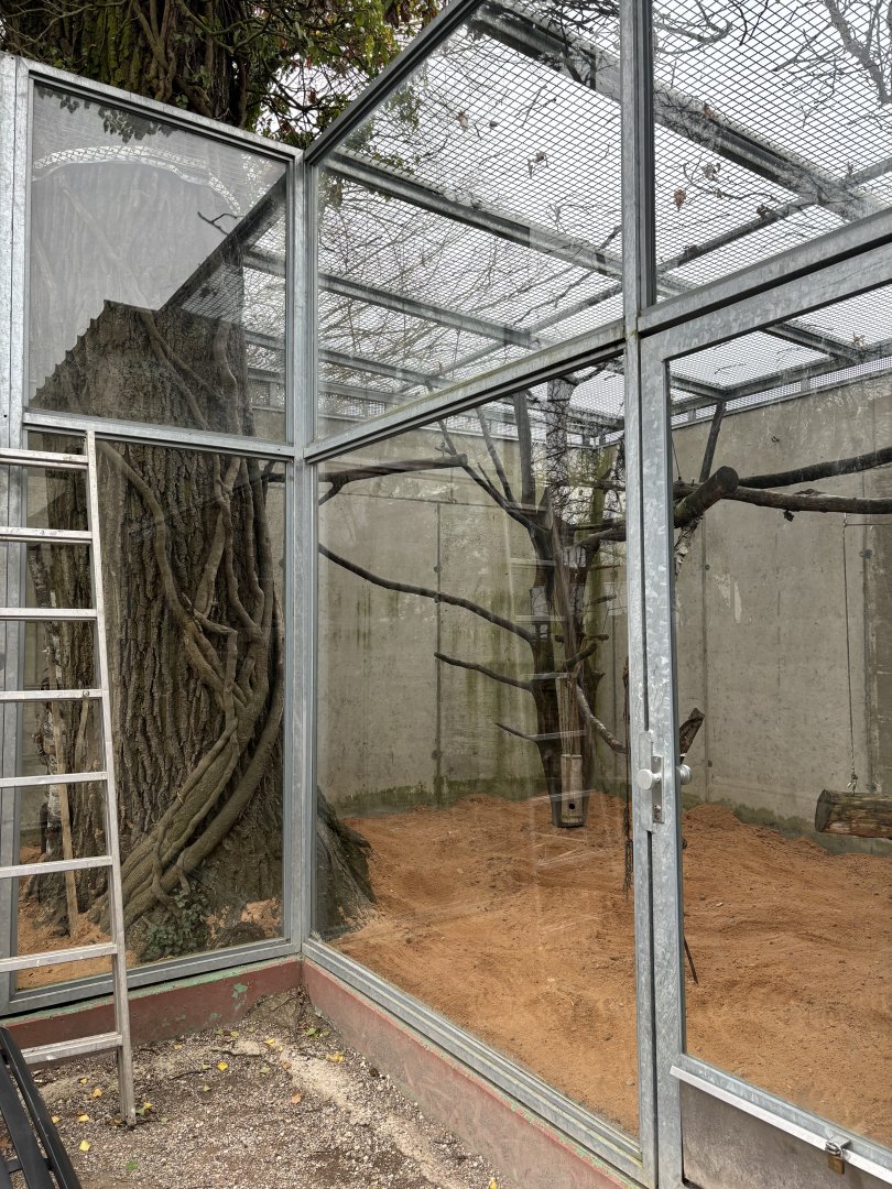 Outdoor Macaque Enclosure at Zoo Wassertstern (Ingolstadt)