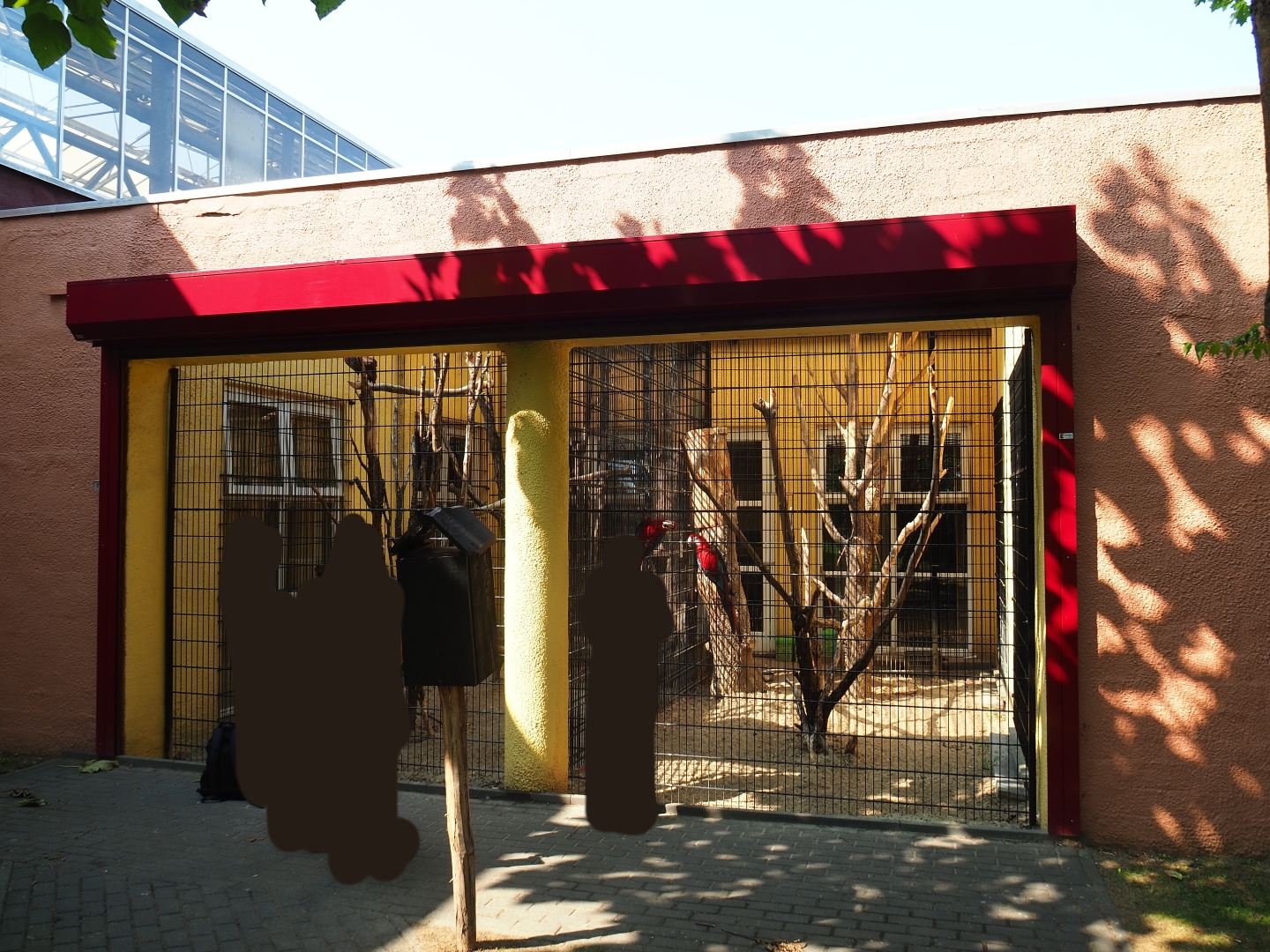 Outdoor macaw aviaries (Aug 28th, 2018)