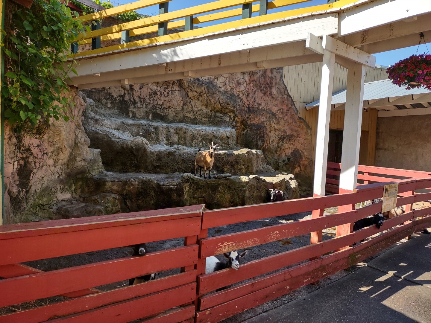 Outdoor main enclosure