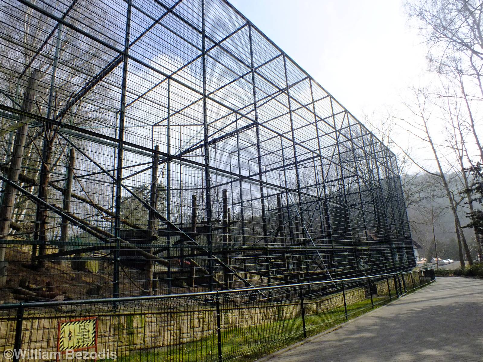 Outdoor Mandrill Enclosure