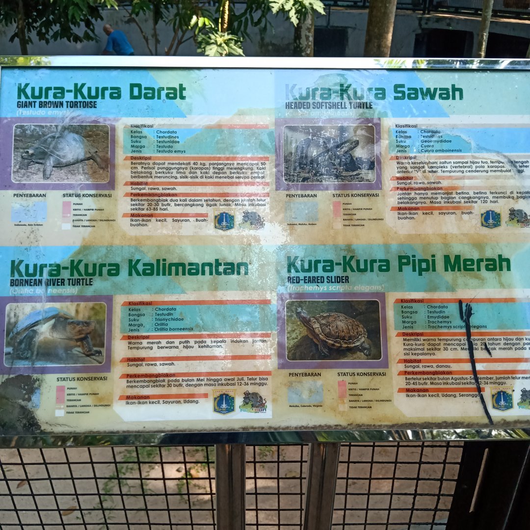 Outdoor mixed-species testudines enclosure information panel
