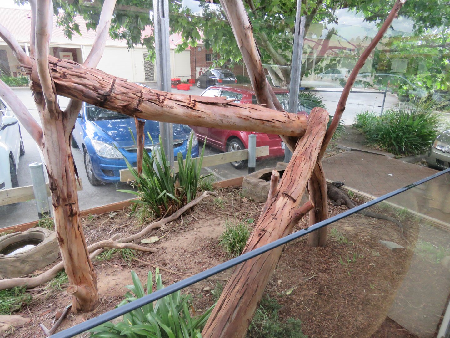 Outdoor Monitor Exhibit