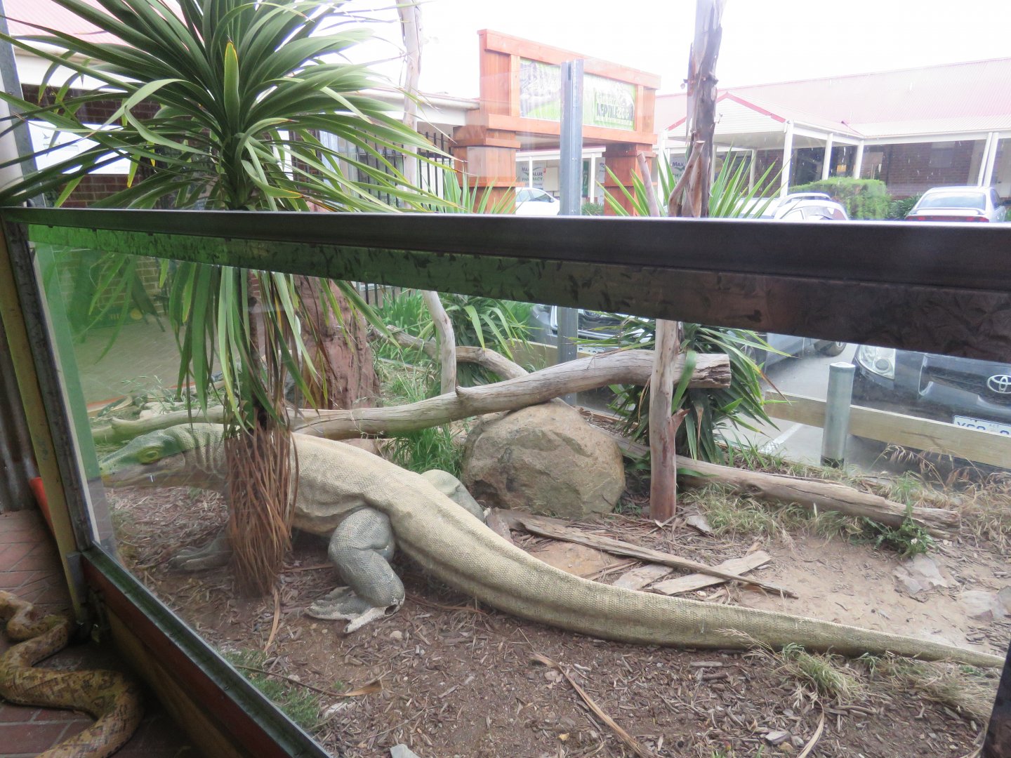 Outdoor Monitor Yard