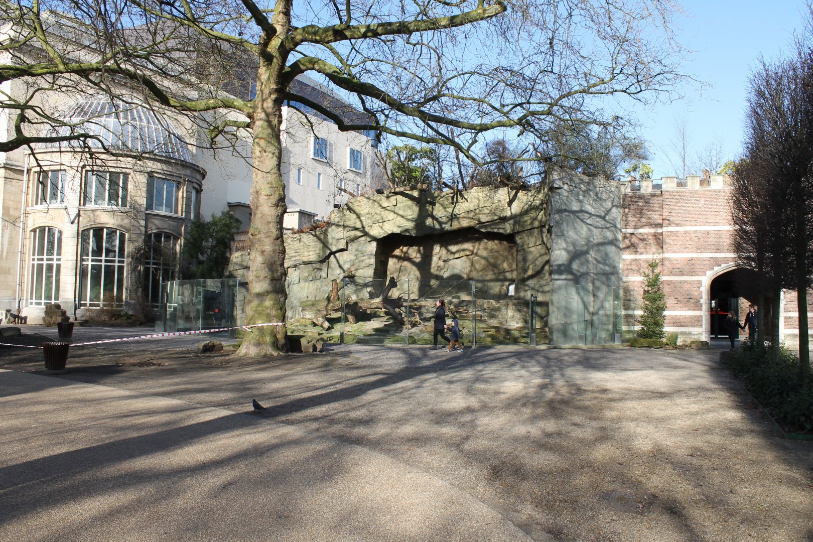 Outdoor-monkey Enclosure