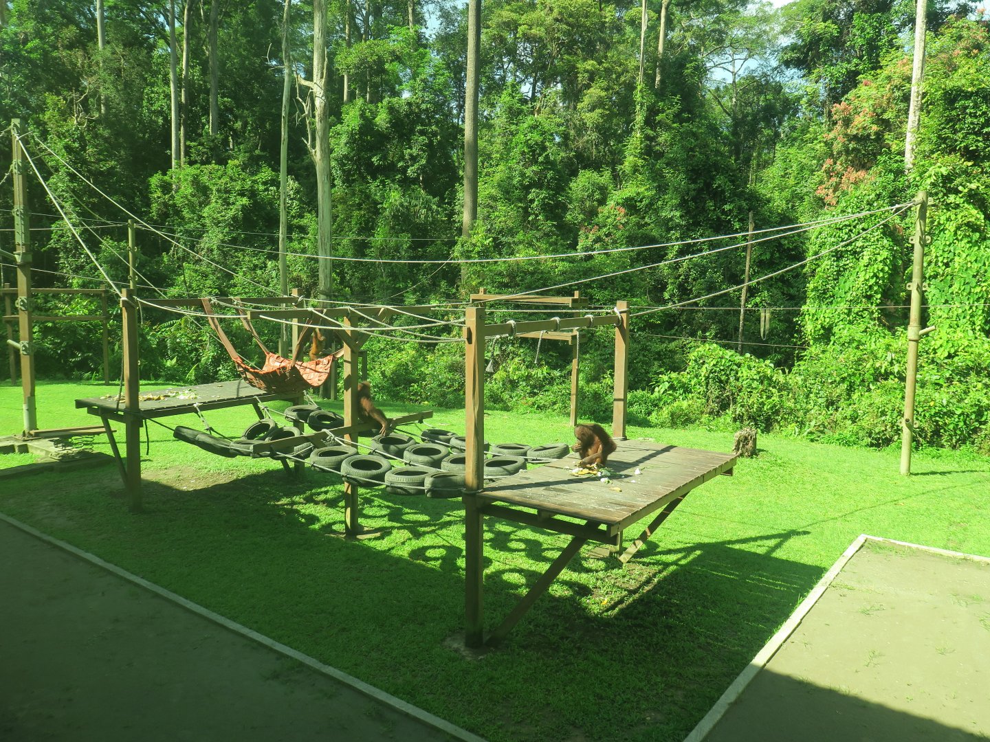 Outdoor Nursery Building