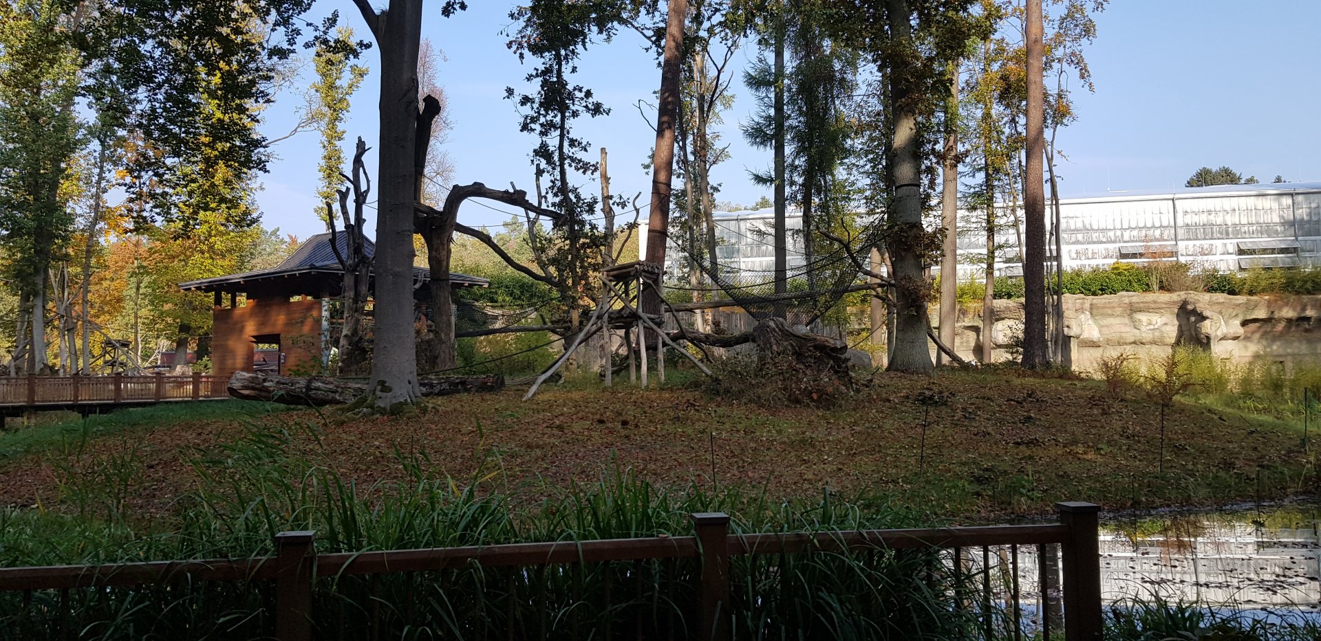 Outdoor Orang utan enclosure, one of two