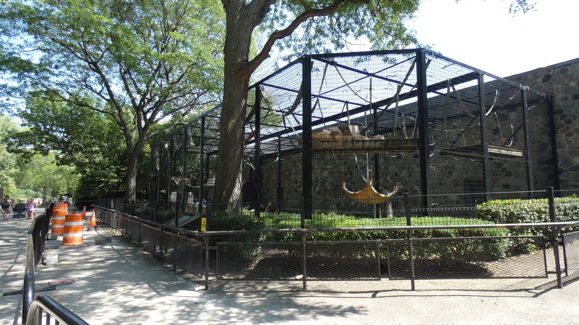 Outdoor Orangutan Enclosure, Primates of the World - Aug. 2021