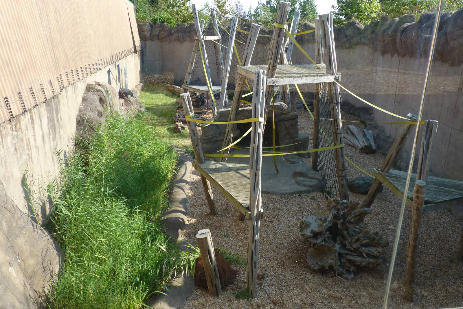 Outdoor Orangutan enclosure, September 2016