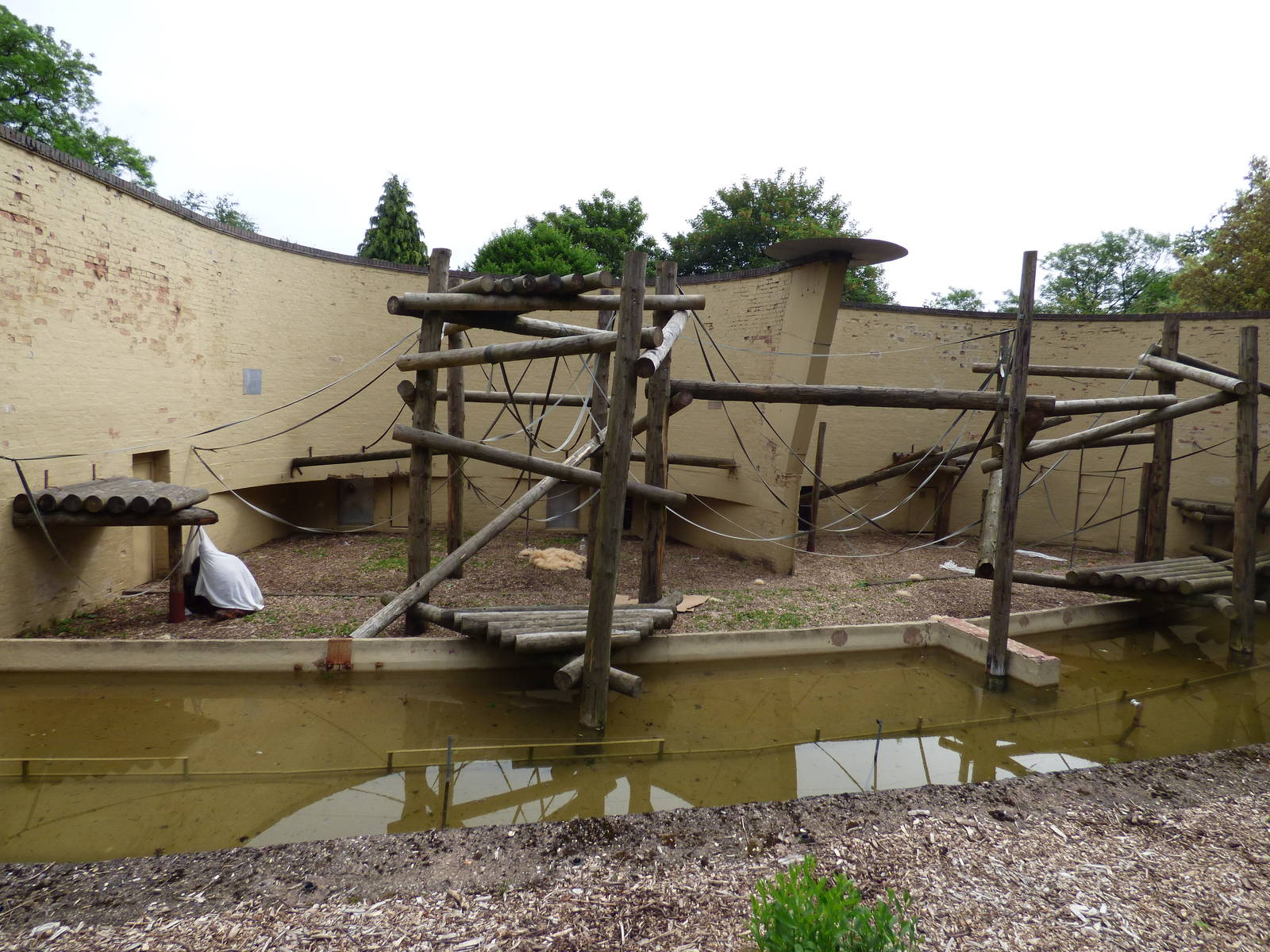 Outdoor Orangutan Enclosure