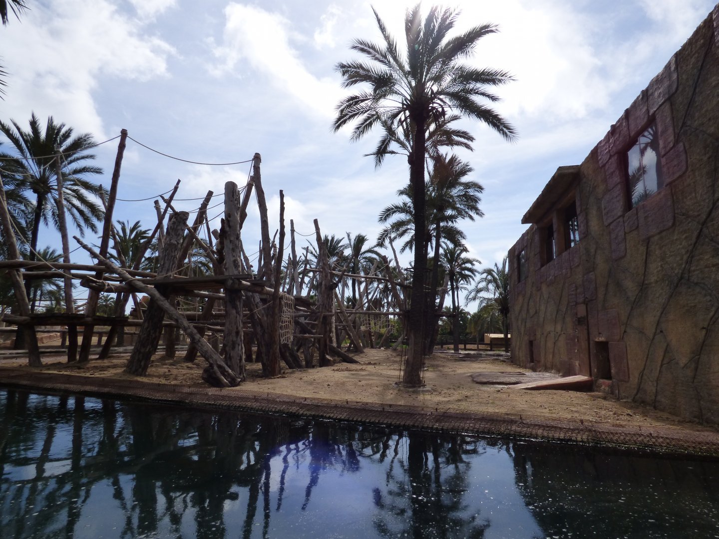 Outdoor Orangutan Enclosure