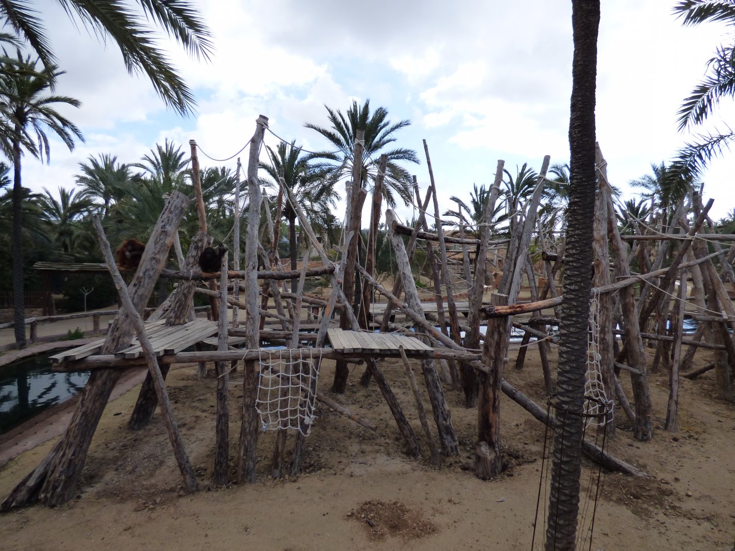 Outdoor Orangutan Enclosure