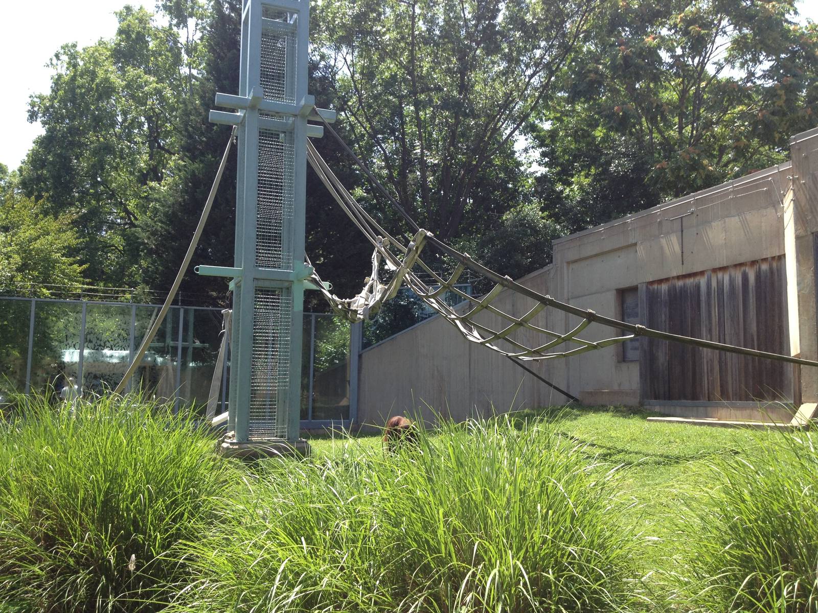 Outdoor Orangutan Exhibit and O-Line Entrance